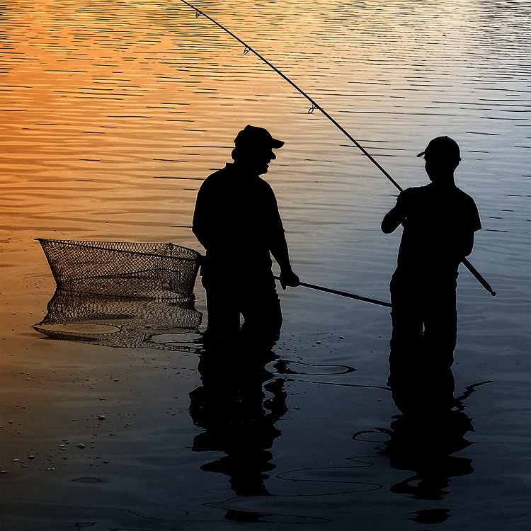 Tiere Aasee BocholtD35_9178 als Smart-Objekt-1.jpg